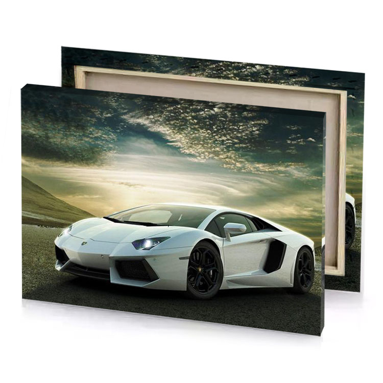 a white lamb pearl canvas