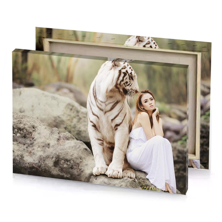 a woman sitting on rock with tiger silver canvas
