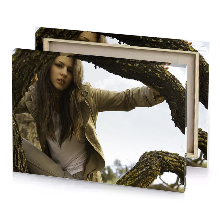 a woman sitting on tree branch bistre canvas