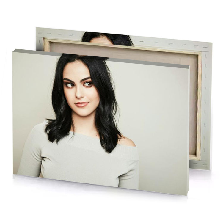 a woman with long black hair and grey sweater silver canvas