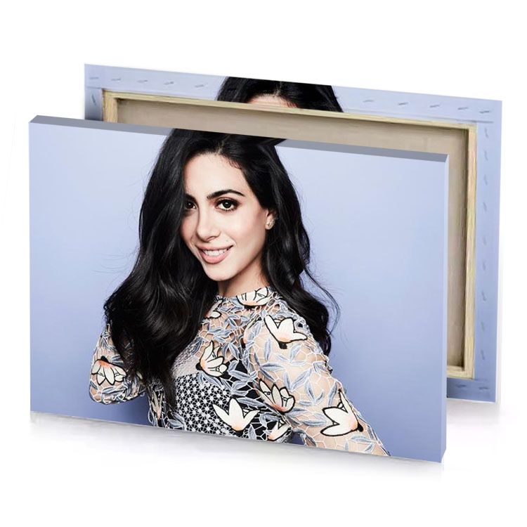 a woman with long black hair and patterned shirt light steel blue canvas