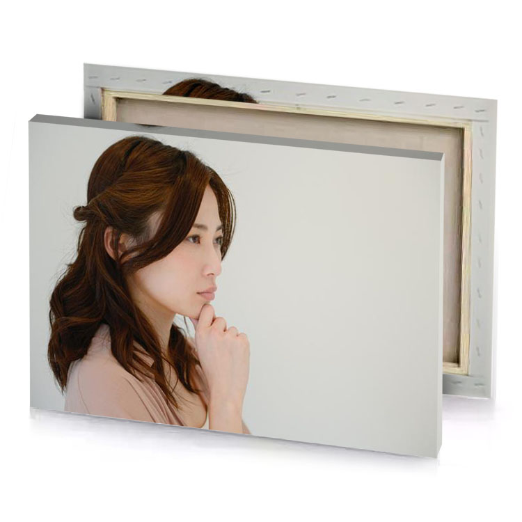 a woman with long brown hair silver canvas