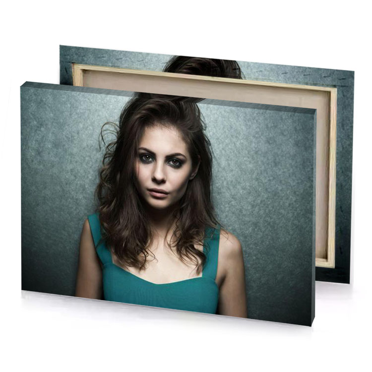 a woman with long hair and blue eyes bistre canvas
