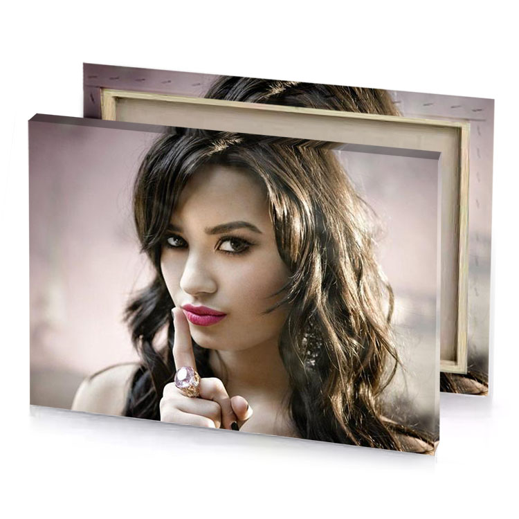 a woman with long hair rose quartz canvas