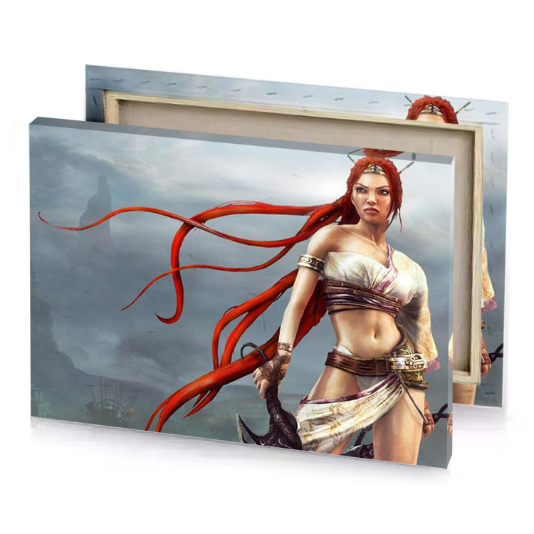 a woman with red hair and sword gray canvas
