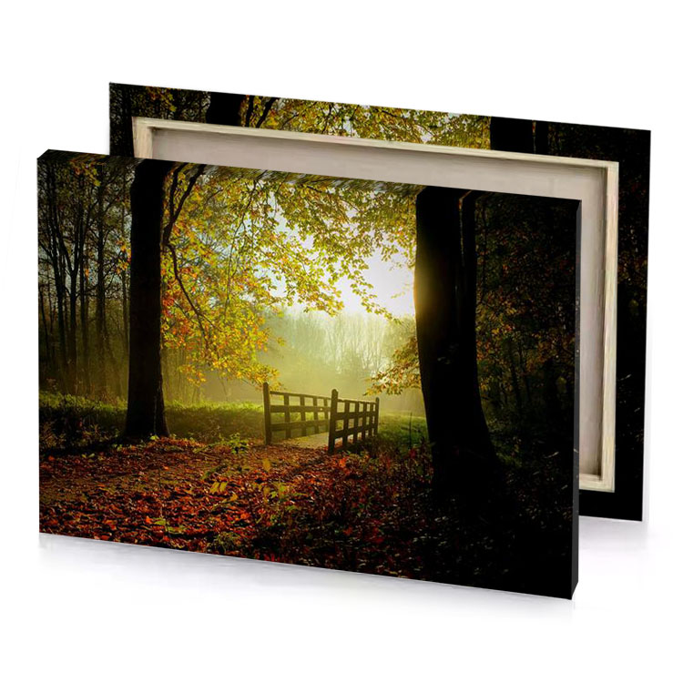 a wooden bridge in forest with leaves on the ground peru canvas