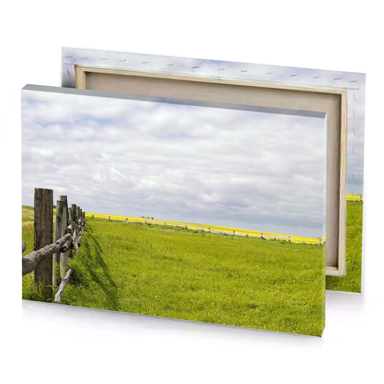 a wooden fence in field dark golden rod canvas
