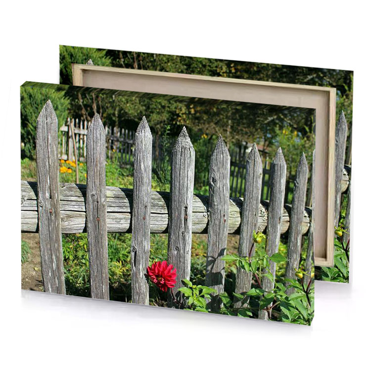 a wooden fence with flower growing in it manatee canvas