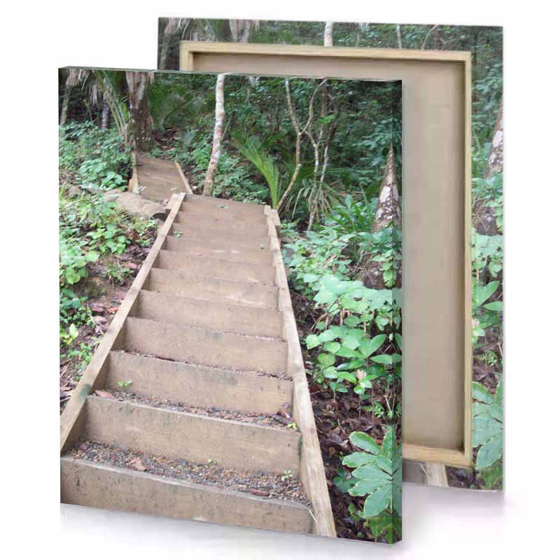 a wooden staircase in the jungle silver canvas