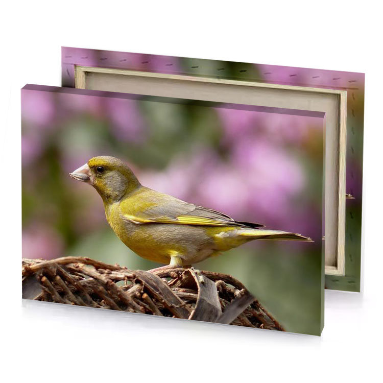 a yellow bird sitting on top of wooden post dark khaki canvas