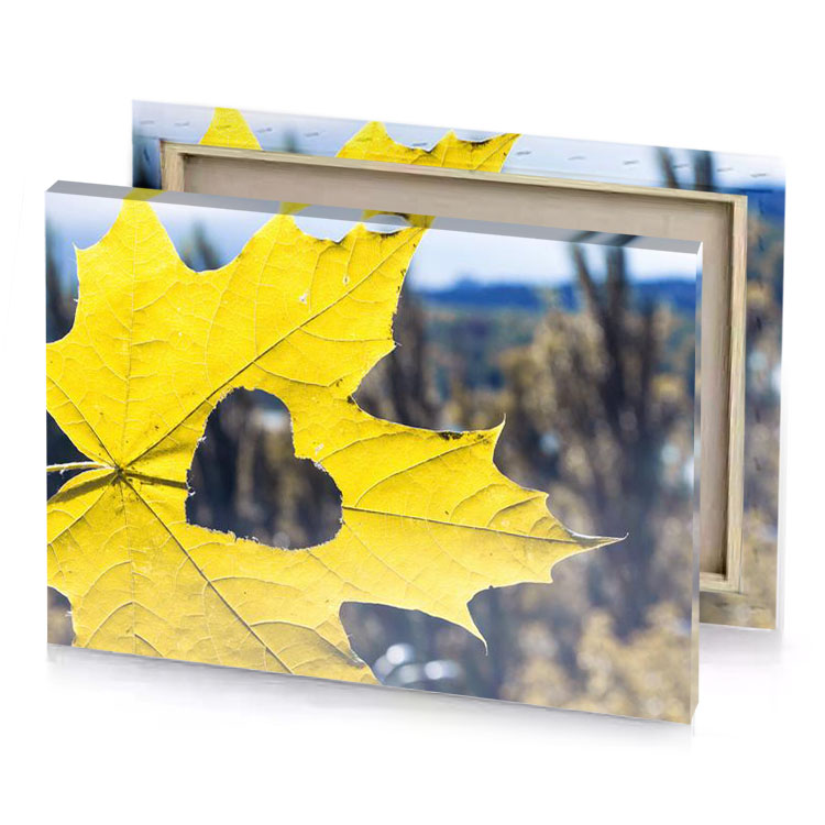 a yellow leaf is shown in the fore of blur banana canvas