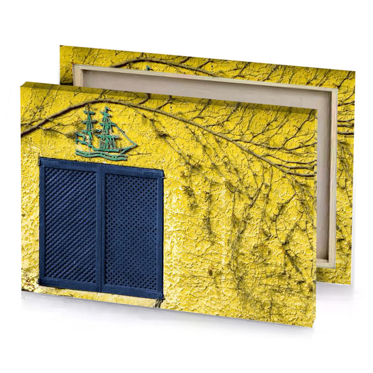 a yellow wall with window and lizard on it charcoal canvas