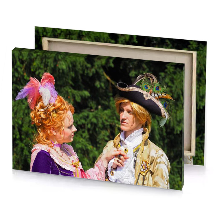 a young girl in fancy dress and bistre canvas