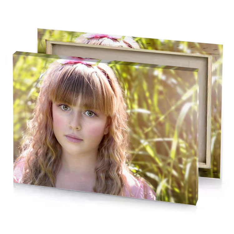 a young girl with long hair and pink dress sienna canvas
