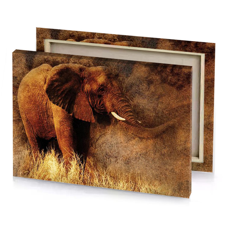 an elephant standing in a field of tall grass bistre canvas