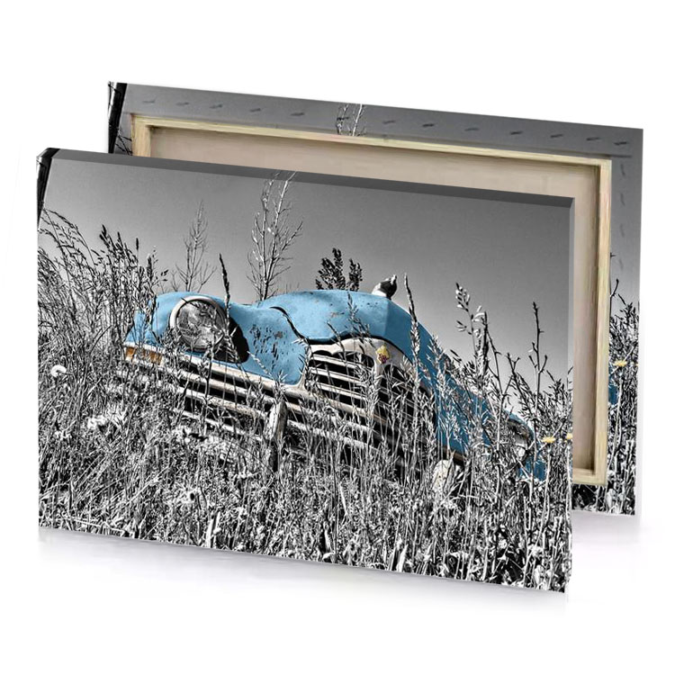 an old car in a field of tall grass moonstone blue canvas