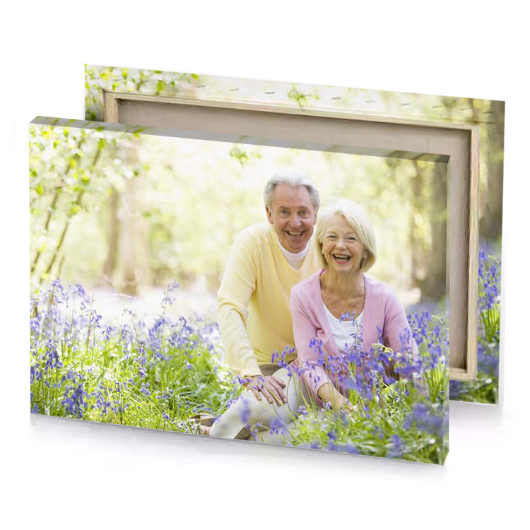 an older couple sitting in the bluebells champagne canvas