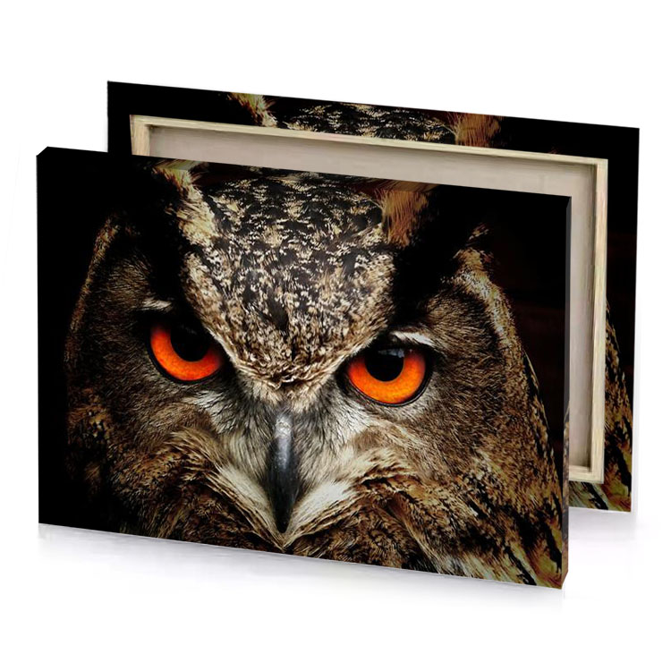 an owl with orange eyes is staring camouflage green canvas