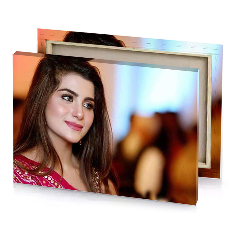 anusha khan in a pink sari zinnwaldite brown canvas