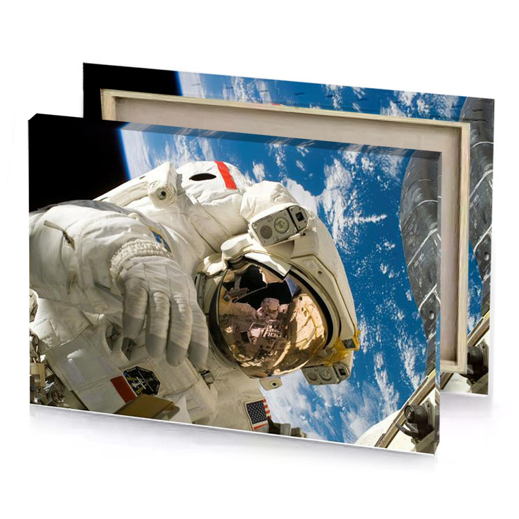 astronaut in space suit rosy brown canvas