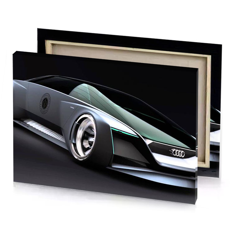 audi concept car manatee canvas