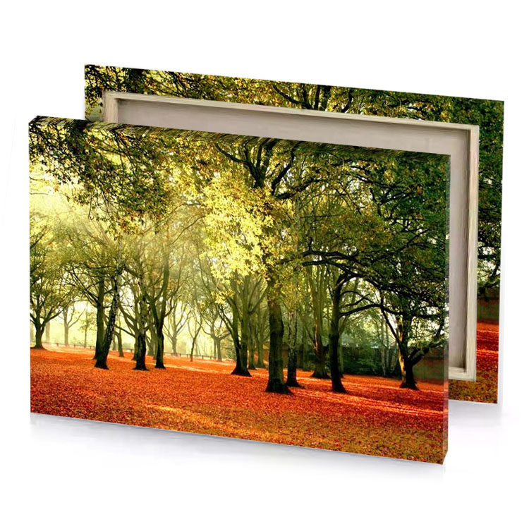 autumn in the park photo peru canvas