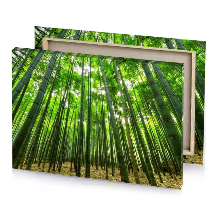 bamboo trees in the forest olive drab canvas