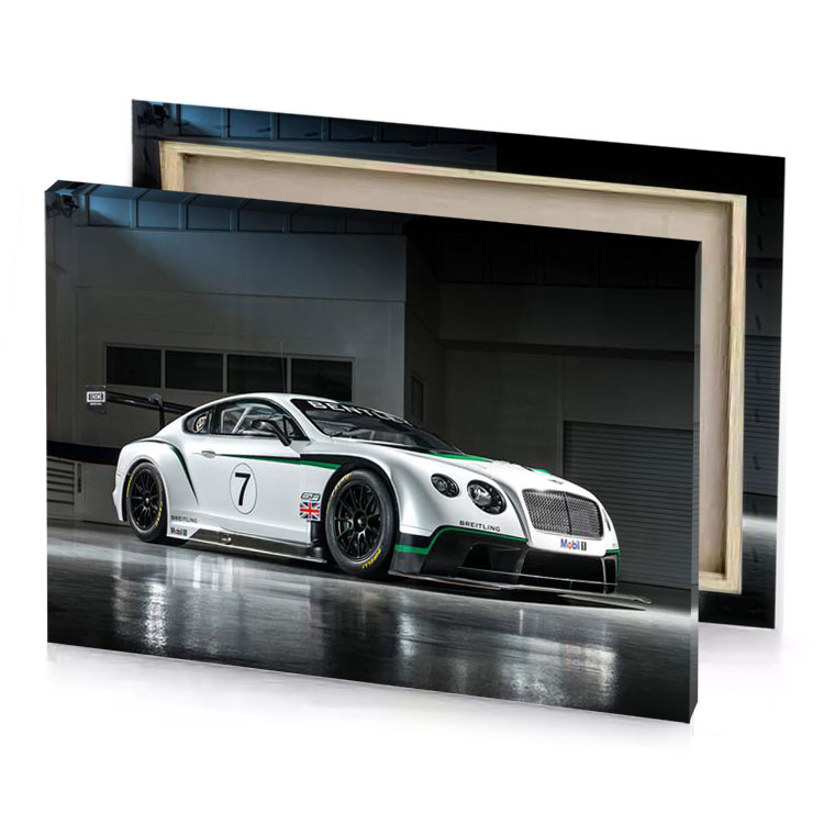 bentley motorsport platinum canvas