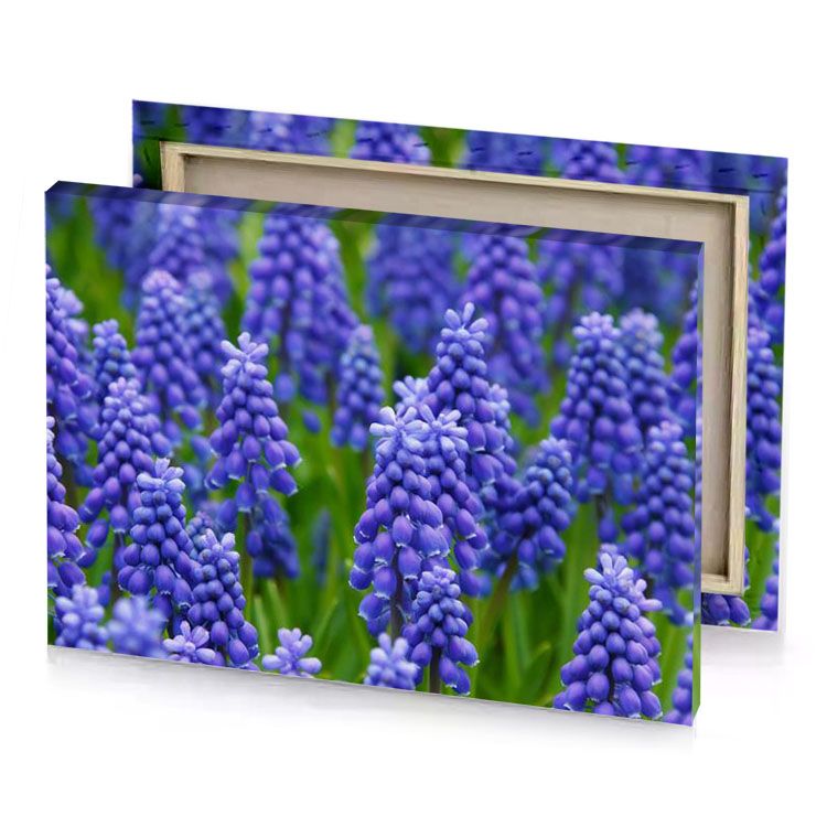 blue flowers in the garden hunter green canvas