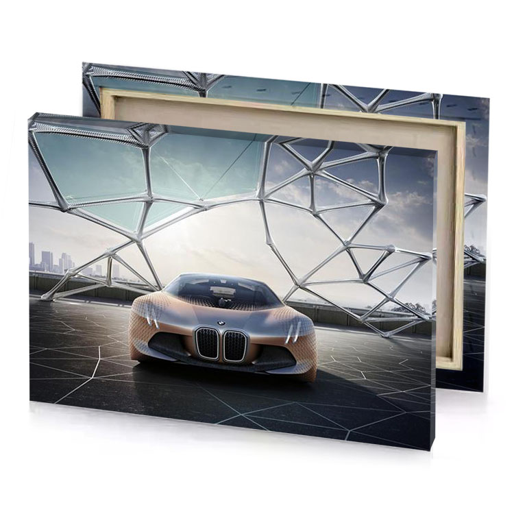 bmw vision concept platinum canvas