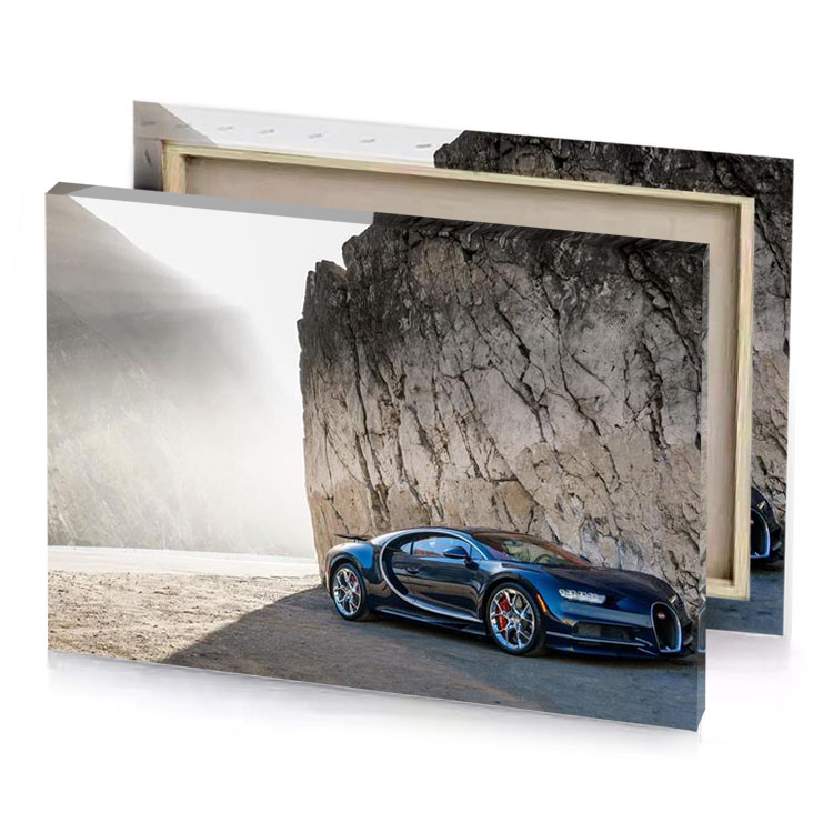 bugatti bugatt platinum canvas