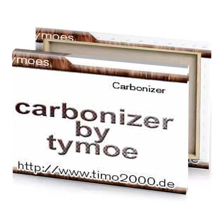 carbonizer by type snow canvas
