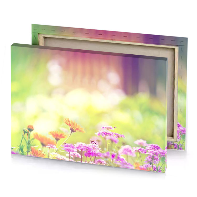 colorful flowers in the sunlight light golden rod yellow canvas