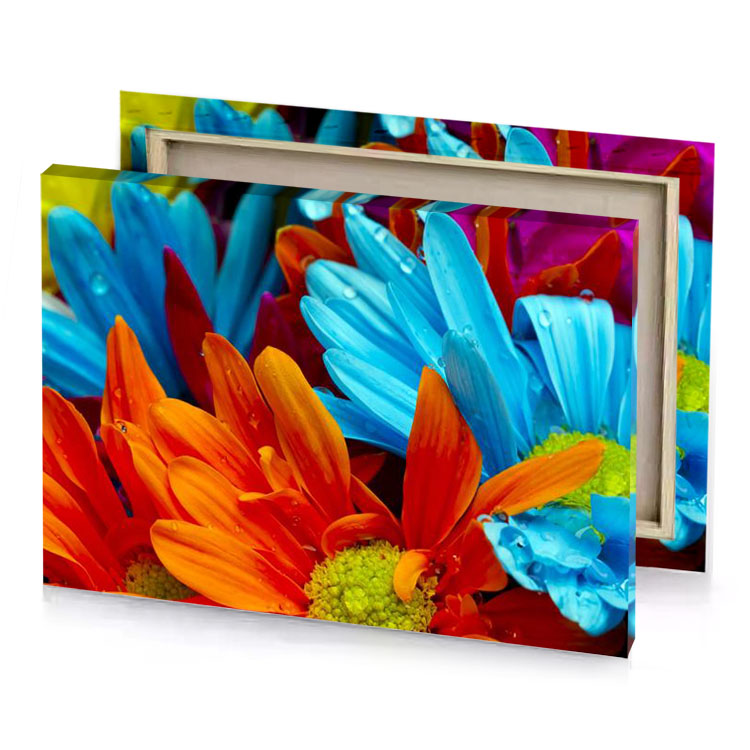 colorful flowers with water droplets firebrick canvas