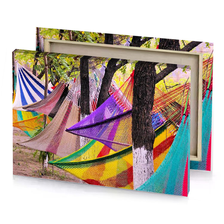 colorful hamies hanging from trees dark orchid canvas