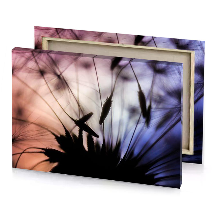 dandels in the wind smoky black canvas