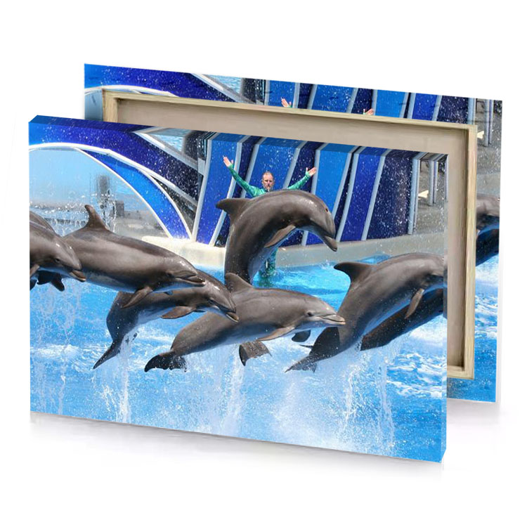 dolphins jumping in the water light steel blue canvas