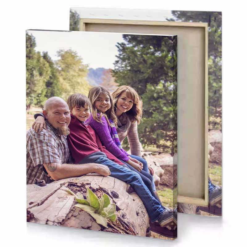 family portrait session in the mountains silver canvas