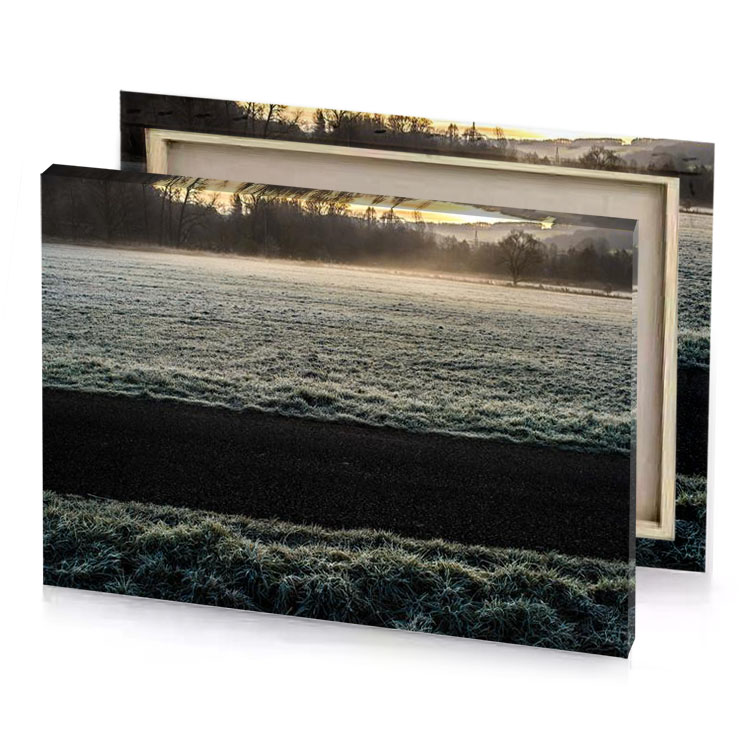 frosty field with trees and a fog camouflage green canvas