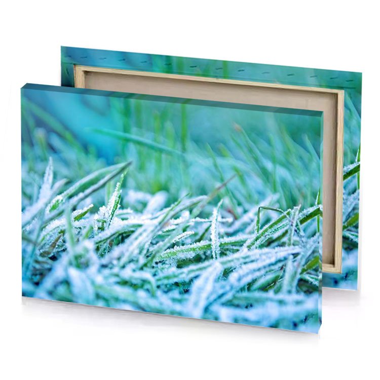 frosty grass with dew verdigris canvas