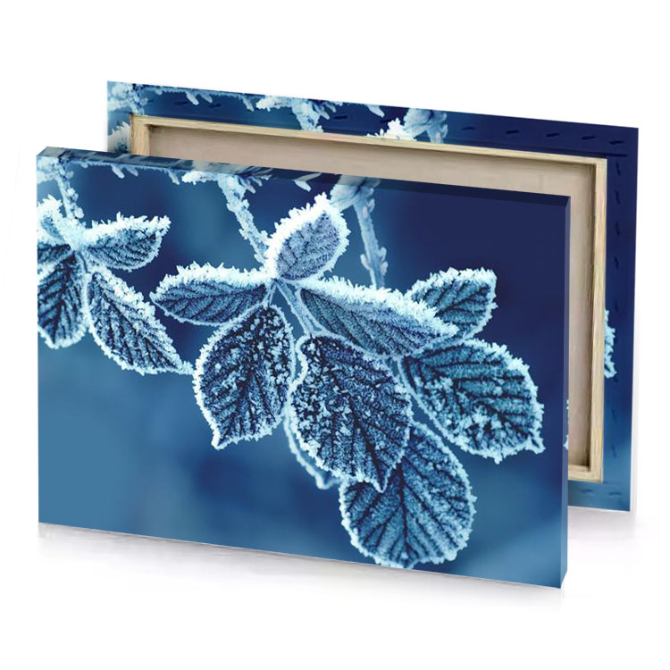 frosty leaves on a branch dark cornflower blue canvas