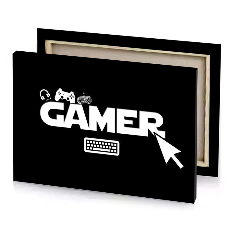 gamer snow canvas