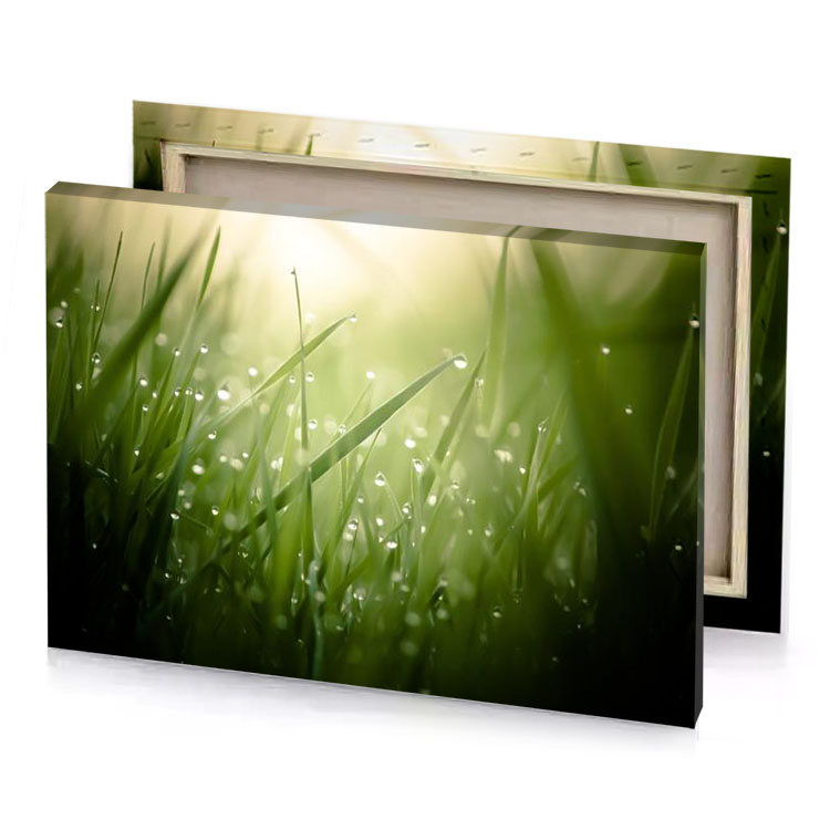 grass nature sage canvas