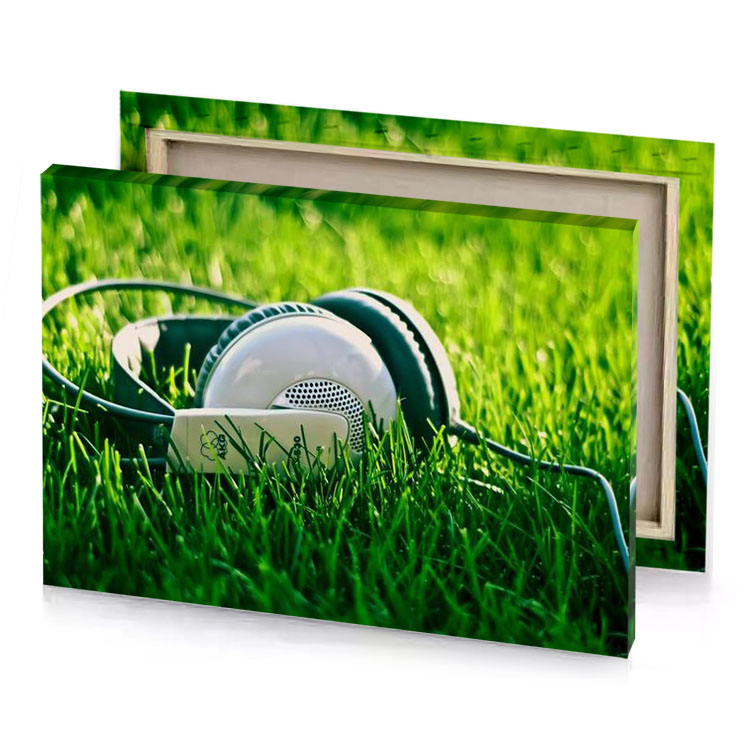 headphones in the grass yellow green canvas