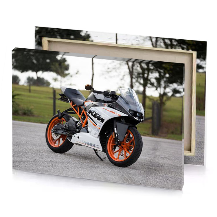 ktm garnet canvas
