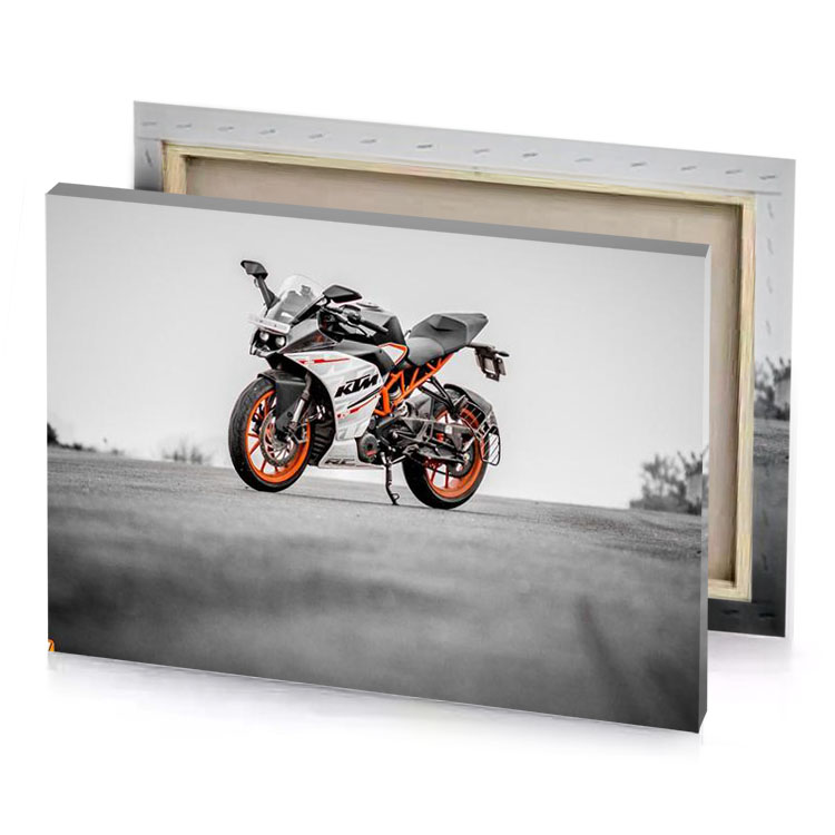 ktm manatee canvas