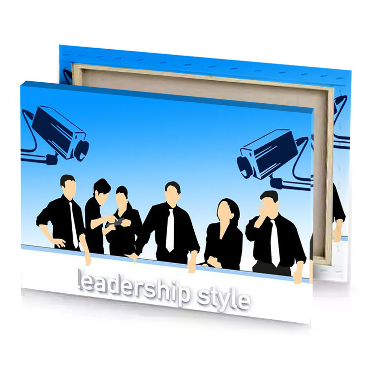 leadership style light sky blue canvas