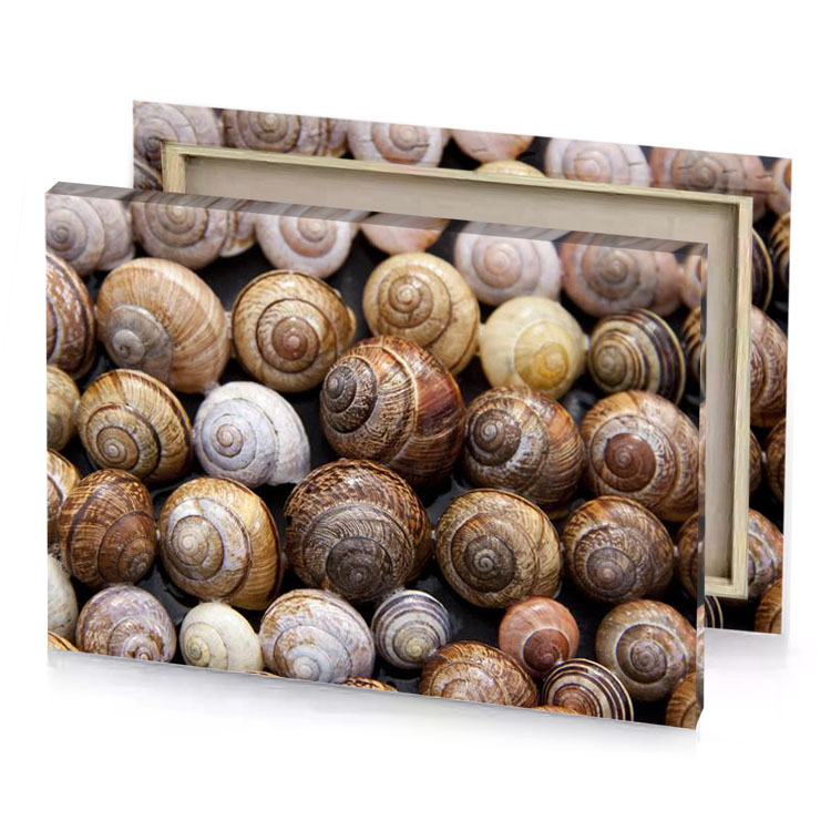 many snails are lined up in a pile bistre canvas