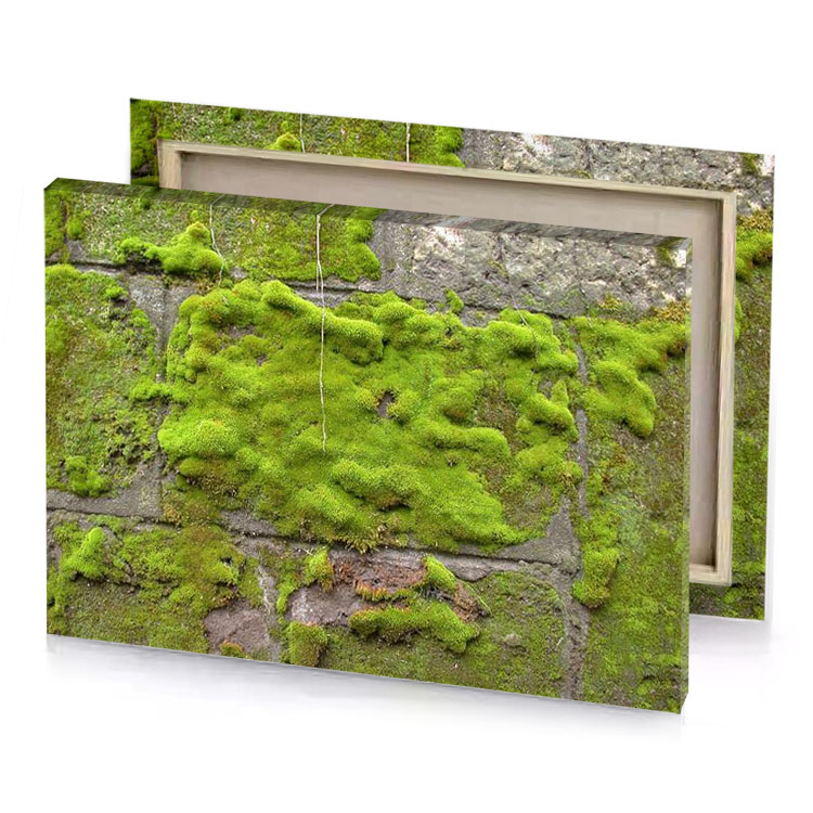 moss growing on a brick wall olive drab canvas