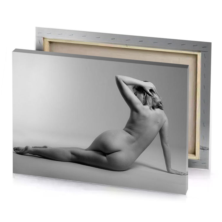 nude female silver canvas
